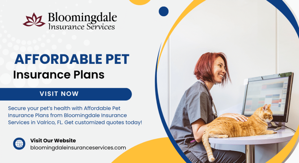 Affordable Pet Insurance Plans