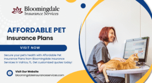 Affordable Pet Insurance Plans