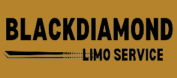 professional car service