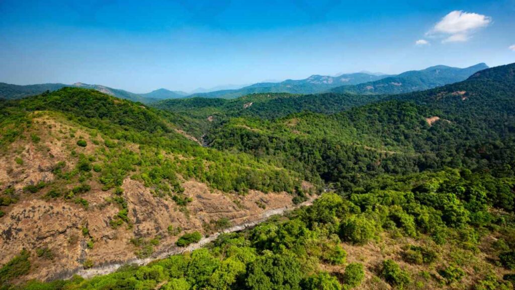 Silent Valley, Kerala travel, wildlife sanctuary,