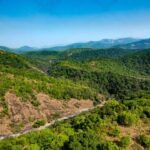 Silent Valley, Kerala travel, wildlife sanctuary,