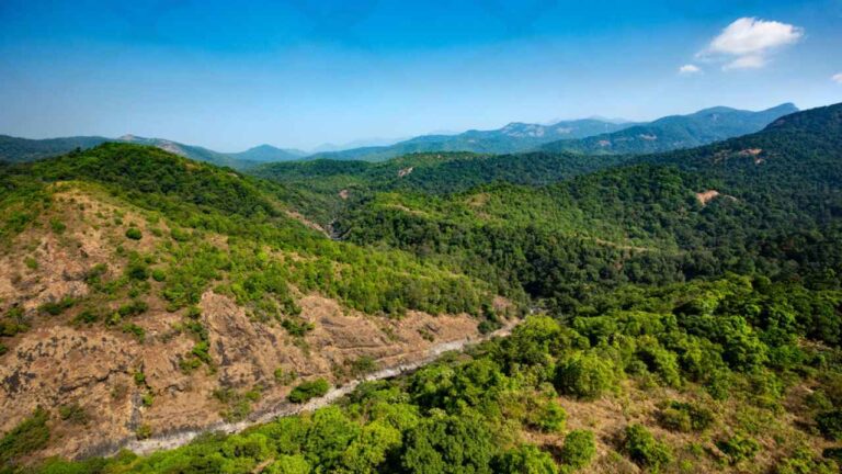 Silent Valley, Kerala travel, wildlife sanctuary,