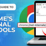 Chrome Net Internals DNS