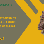 Trop Cherry Strain