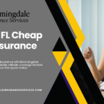 Valrico FL Cheap Car Insurance