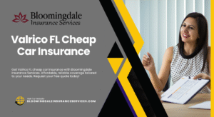 Valrico FL Cheap Car Insurance