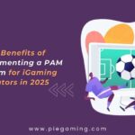Benefits of Implementing a PAM System
