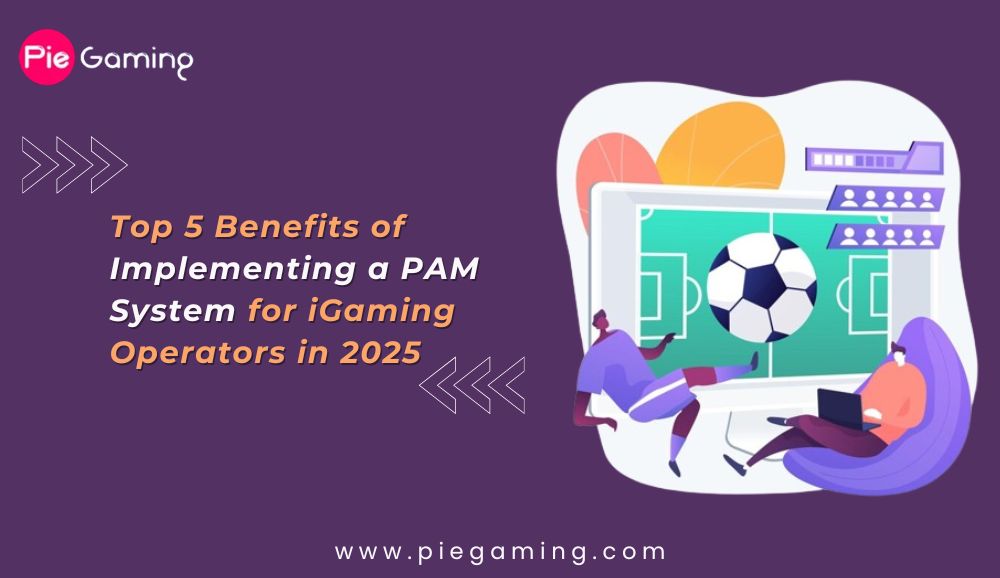 Benefits of Implementing a PAM System