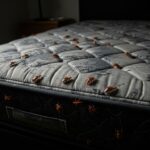 Bed Bug Removal Guelph: How to Get It Done Fast, Safe, and Stress-Free