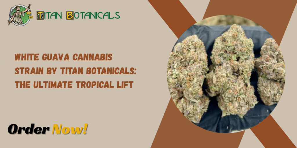 White Guava Cannabis Strain