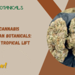 White Guava Cannabis Strain