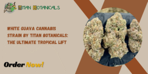 White Guava Cannabis Strain