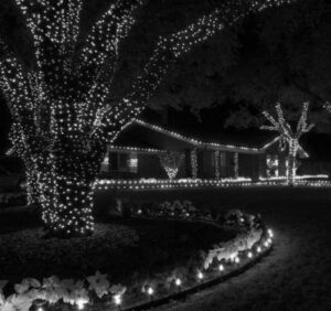 christmas lighti nstallation services-5