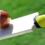 cricket id 5