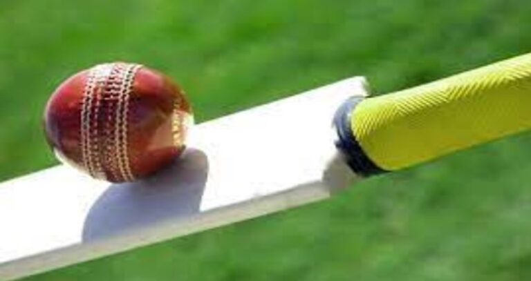 cricket id 5