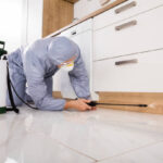 home pest control service
