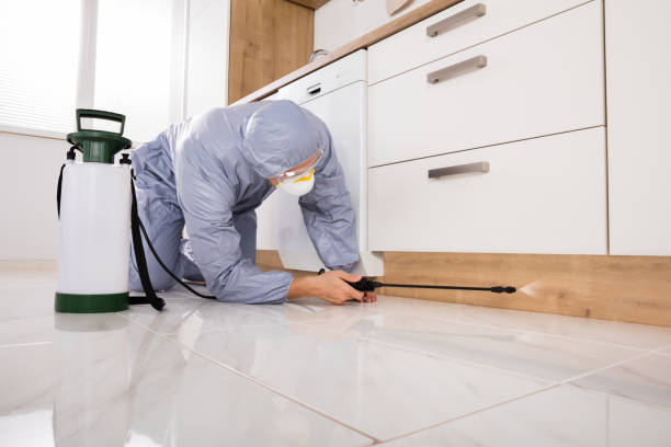 home pest control service