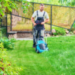 lawn care services lansing mi