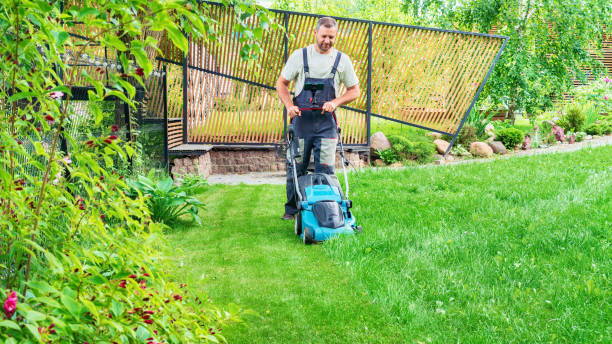 lawn care services lansing mi