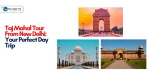 Taj Mahal Tours from Delhi