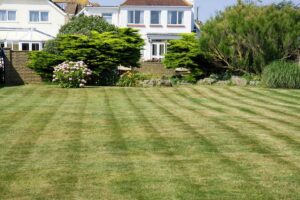 lawn-care-in-Frisco