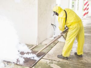 asbestos removal