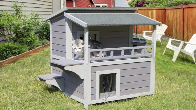 A cat sits atop a heated outdoor cat house, showcasing a cozy and inviting space for feline relaxation.