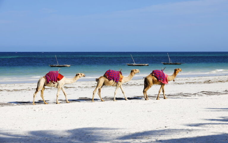 Family-Friendly Destinations in Oman