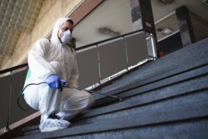 asbestos removal