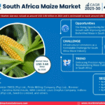 south-africa-maize-market