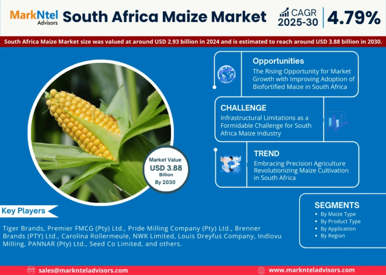 south-africa-maize-market