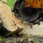 stump-grinding-high