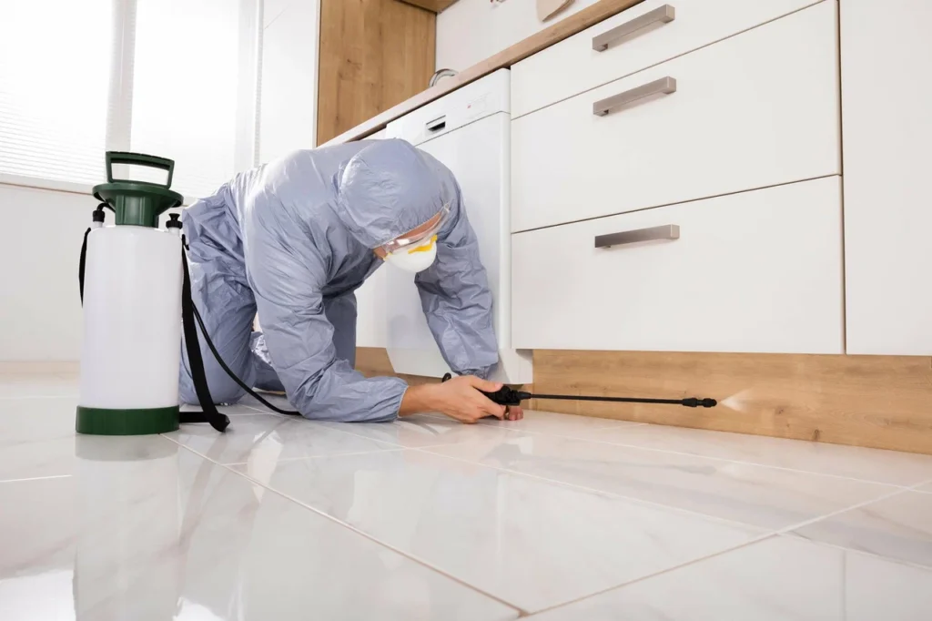 termite control services