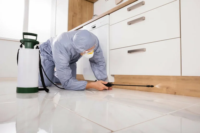 termite control services
