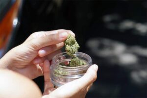 Weed Delivery in Elora