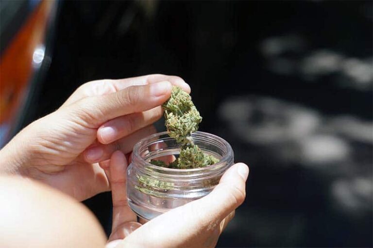 Weed Delivery in Elora