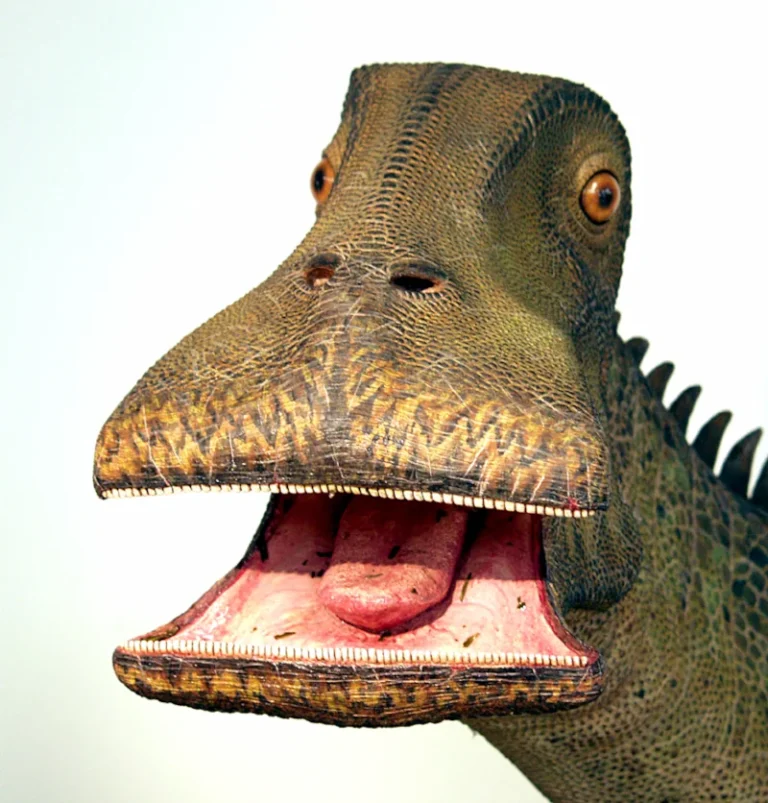 What dinosaur has 500 teeth