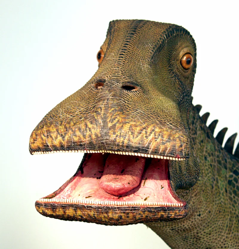 What dinosaur has 500 teeth