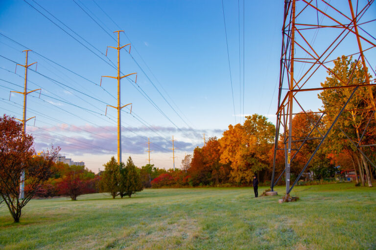 electricity supplier uk