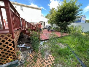 Creating Lasting Outdoor Beauty with Sabba’s Landscaping