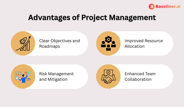 Advantages of Project Management