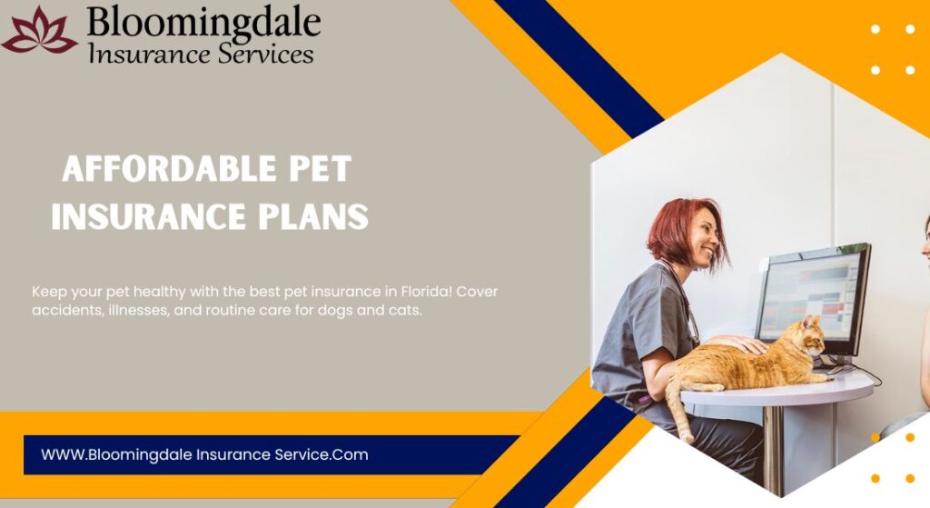 Affordable Pet Insurance Plans