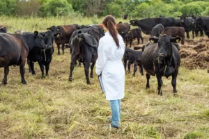Animal Health Distributors Oman