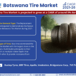 Botswana Tire Market Research Report Forecast (2025-2030)