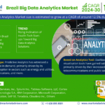 Brazil Big Data Analytics Market Research Report Forecast (2024-2030)