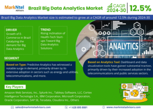 Brazil Big Data Analytics Market Research Report Forecast (2024-2030)