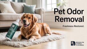 Brooklyn Carpet Cleaning