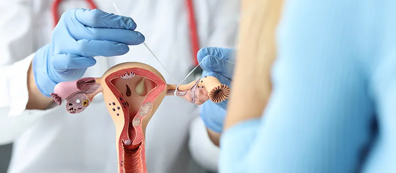 gynecologist in Malaysia