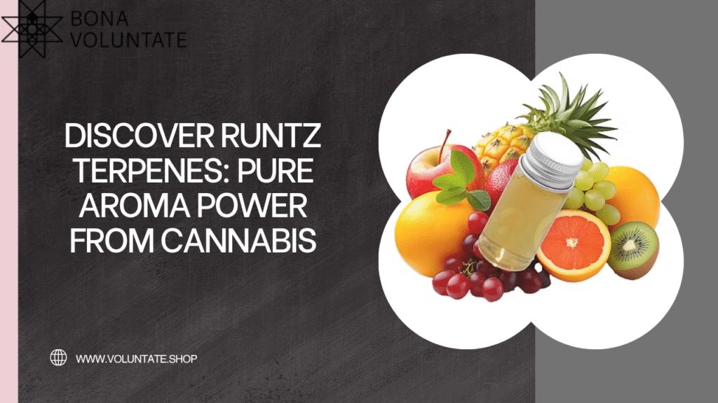 Runtz Terpenes