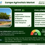 Europe Agrivoltaic Market Research Report Forecast (2025-2030)